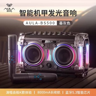 ����BS500�{��������푏͹�RGB�l��ӰԺ���|����K������������