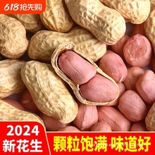 生花生2024年新货晒干带壳新鲜花生果原味白沙带皮高产薄壳种籽子