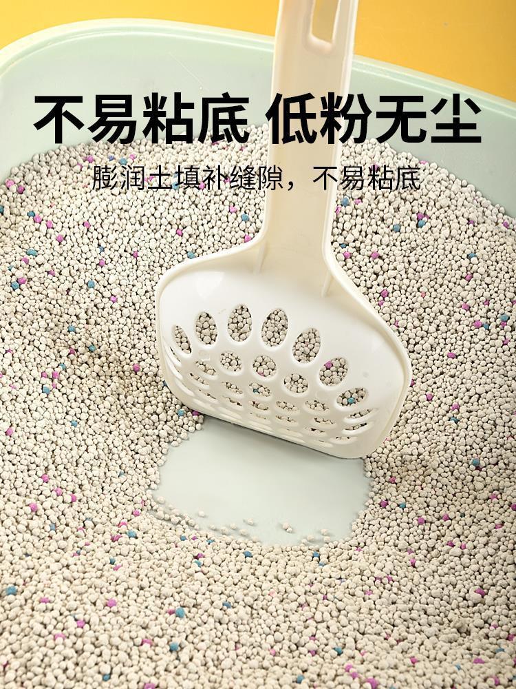 55378b1c-752c-488d-996a-b50fcde03844.jpe