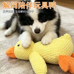 �������ë�q��˯����ҧĥ����ë���С��Ȯ�������Ӱl���˽␞
