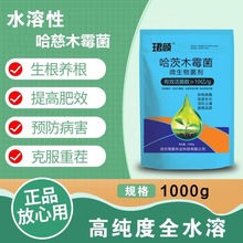 ����ľù�����ܹ��߷��ѻ�ù�����ݲ��������������������翹�ز�