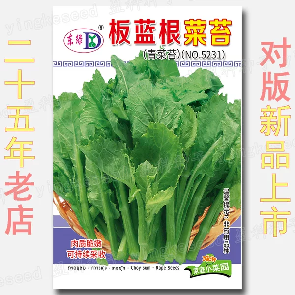 About 2000 Seeds of Isatis Tinctorius. Regular Varieties, Non-One-Generation Hybrid Varieties, Should Not Be Planted on a Large Scale