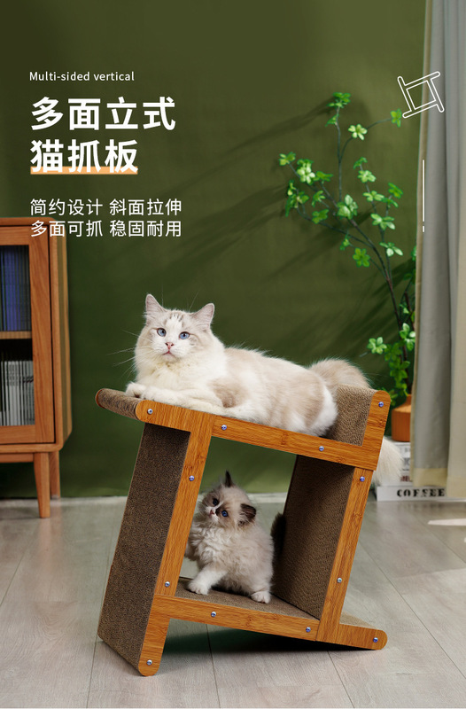 https://www.toonies.cn詳情圖片_01.jpg_800x800.jpg