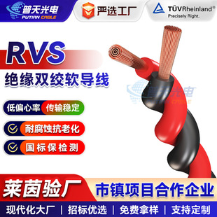 Stainless Steel Floral Wire Power Cable Oxygen-Free Copper 2-Core 0.75 1.5 2.5 Square Twisted Pair Cable for Engineering Use