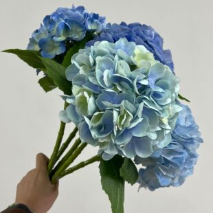 ���潑����滨�p�ݸɻ��Ʒ�[���ָб����֧�����bٻ�����