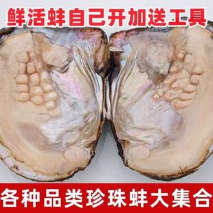 �۵��������l�Bֳ�����������Լ��_����������Ӱ��r��