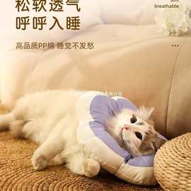 宠物伊丽莎白圈猫咪项圈围脖防舔狗狗脖圈伊利沙白圈绝育头套软圈
