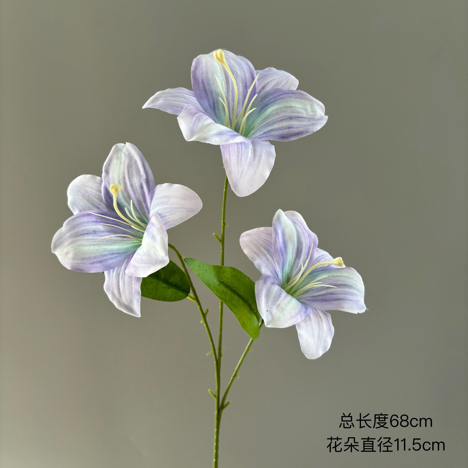 라일락