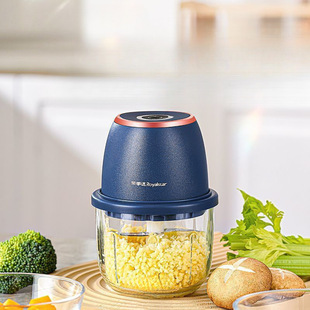 Royalstar Garlic Electric Garlic Grinder Meat Grinder Mixing Household Garlic Masher Garlic Press Free Shipping