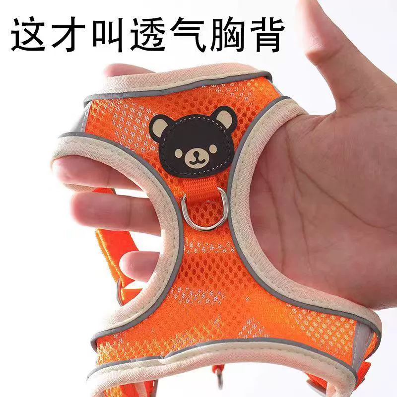 Собачий поводок для собак поводок для домашних животных поводок собачий поводок собачий поводок собачий поводок собачий поводок на открытом воздухе