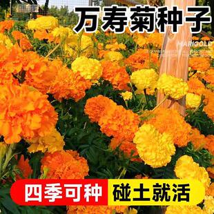 �f�۾շN�ӻ��N�����ļ����N�_���ջ�������ͥԺ������û��N��