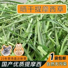 北提摩西草整草草段兔草兔饲料龙猫豚鼠荷兰猪牧草饲料兔子草提草