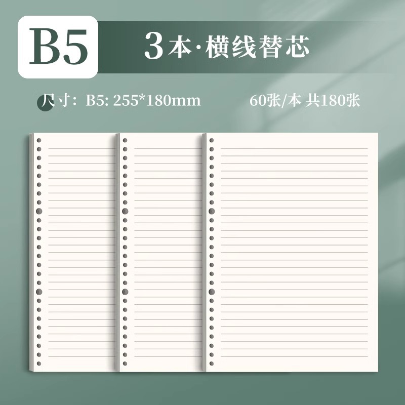 B5 • horizontal line core • 3 books ☞180 photos (360 pages)