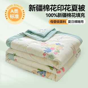 Wholesale Class a Cloud Cotton Summer Quilt Air-Conditioned Quilt Quilt Core Summer Cool Quilt Gift Xinjiang Cotton Quilt