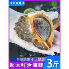 ���u�����r���ش����r������r���rˮ�a�����r��ݻ���ؐ�