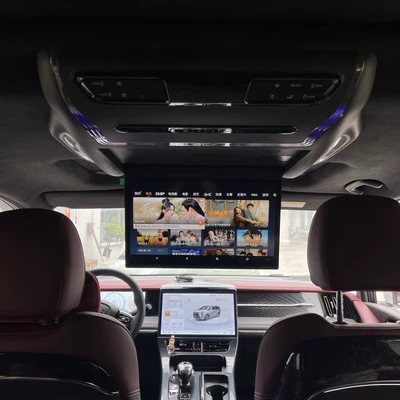 Rear Seat Entertainment, Car TV