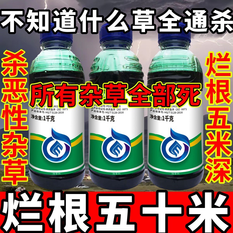 高浓度精草铵膦铵盐除草剂小飞蓬斩草除根杂草不知道什么草全通杀