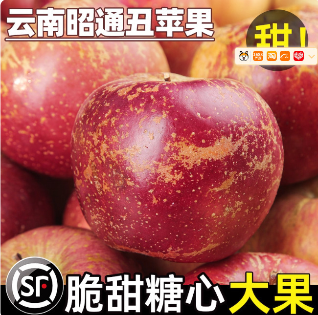 2025 Yunnan Zhaotong Ugly Apples Fresh Zhaotong City Sugar Heart Ugly Apples Red Fuji Fruit for Pregnant Women in Season 2025 Yunnan Zhaotong Ugly Apples Fresh Zhaotong City Sugar Heart Ugly Apples Red Fuji Fruit for Pregnant Women in Season