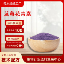 蓝莓花青素25% 蓝莓提取物 花色苷36%  蓝莓粉 蓝莓冻干粉 天本