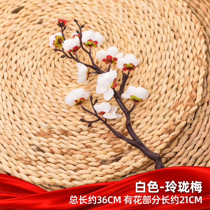 하얀 절묘한 매화