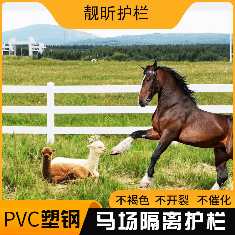 PVC马场护栏 马术场地景区隔离栅栏围栏萌宠乐园民宿营地护栏厂家