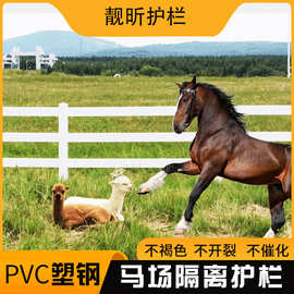 PVC马场护栏 马术场地景区隔离栅栏围栏萌宠乐园民宿营地护栏厂家