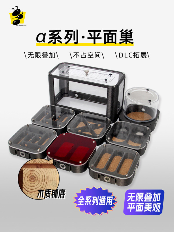 3D Printed Ant Nest Ant Box Breeding Box Native Harvester Ants Bow-Back Ants Desktop