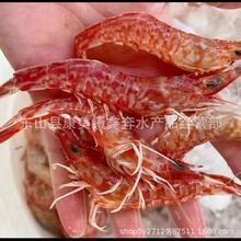 樱花虾 斑点虾深海新鲜活冻玫瑰虾 火焰虾 餐厅供应