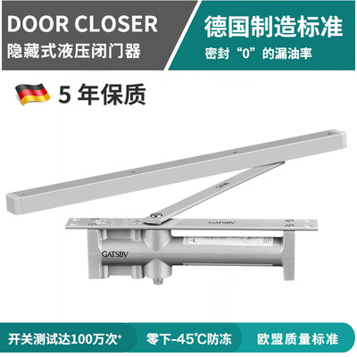 EU standard Closers invisible Hide automatic Closers hotel Dark outfit Hydraulic pressure Buffer Closers