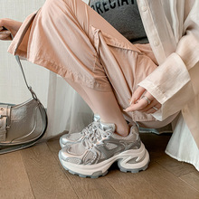 СӸA^ɸǰϵeϵЬ2024¿mWЬ