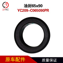 SǰͷYC209-C065090PRͷ65x90ȼlәC܇