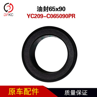 ���Sǰ���ͷ�YC209-C065090PR�ͷ�65x90��ȼ��l�әC�����܇