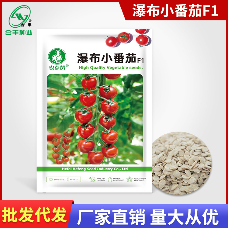 瀑布小番茄种子 千禧樱桃小西红柿种籽超甜圣女果种孑蔬菜籽批发