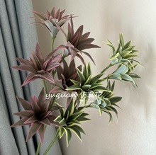 ¿ٺGֲSŘ~õ~F~Y·ٻSl