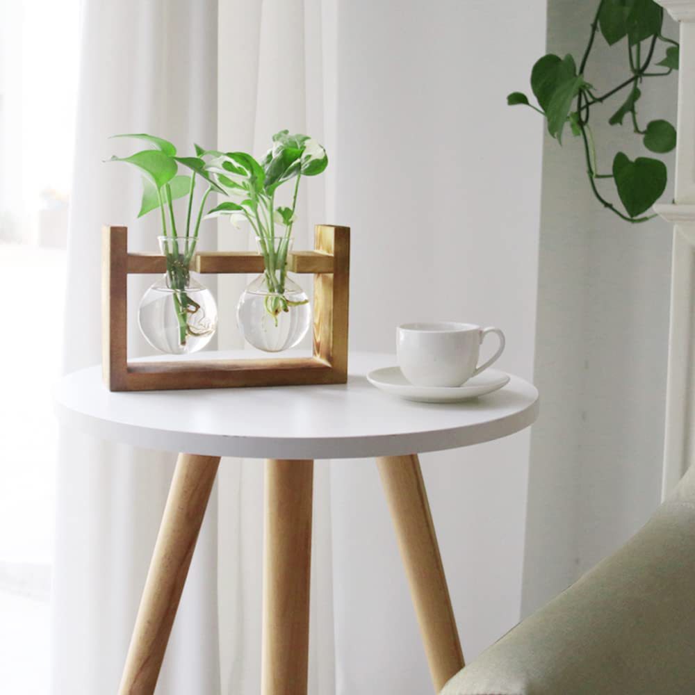 Glass retro bulb from natural wood