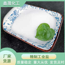 工厂批发工业盐精制工业盐氯化钠制冷防冻水产养殖用工业级