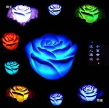 七彩小夜灯地摊货源 七彩玫瑰花灯 带枝变色玫瑰灯 情人节礼品