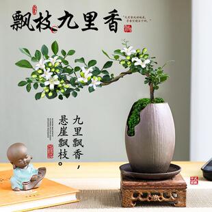 �h֦�������辰�҃ȾGֲ��������ֲ������Ϙ��ļ����B������[��