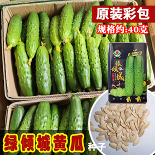 ���A�G�A���S�ϷN�� �Y�϶����Ŵ���ˬ�ں��S�����S���� �߲���