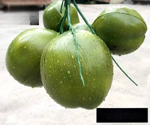 �����Ҭ����Ҭ��Ҭ������Ҭ�Ә�����ϵ��� ����ˮ����ˮ���b�