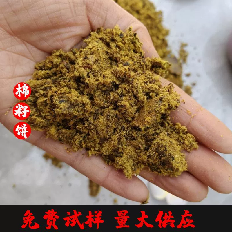 Производители производят и оптом поставляют хлопковые корма с высоким содержанием белка и жира, отличной вкусовой ценностью, используемые как корм для лошадей, крупного рогатого скота и овец, а также как удобрение для посева.