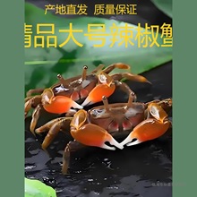 ˮˮ̖зСз^pзc~rͬB