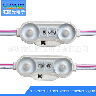 Hot Selling Led Module with Lens Injection Molding Module Waterproof Module Two Lamp 1W Advertising Module Luminous Character Module