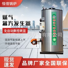 供應100-2000kg立式燃油燃氣蒸汽發生器全自動蒸汽發生器飲料使用