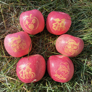 ӡ���O������ƽ��ҹƽ���������O���}�Q���Y�̨�t��ʿƽ����