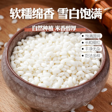 ؛ŴճܛŴr҈AŴɢbŴ׽׾ᄰsZ