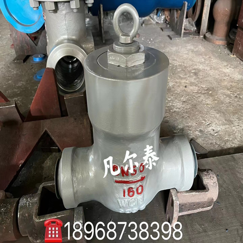 厂家供应 升降式止回阀 不锈钢止回阀 水平安装止回阀