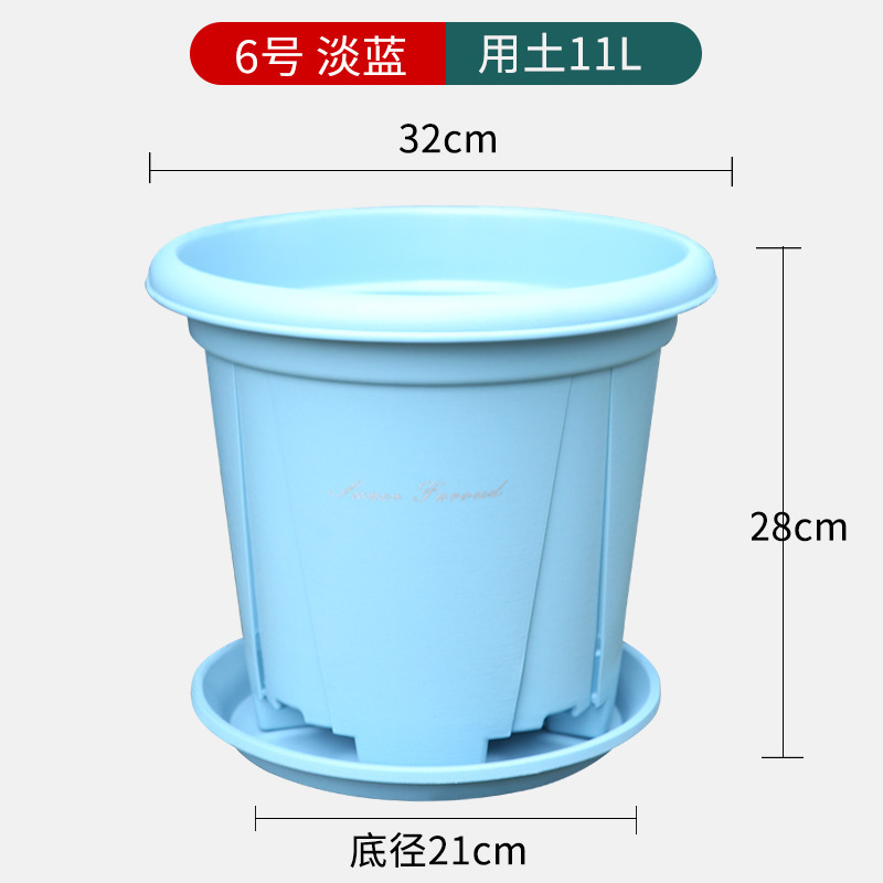 特大サイズの厚いガロン鉢青山プラスチック鉢に木を植えます。|undefined