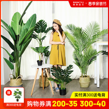 ����Gֲ��ֲ�����˽������Gֲ���Դ����҃��b٘��������ֲ