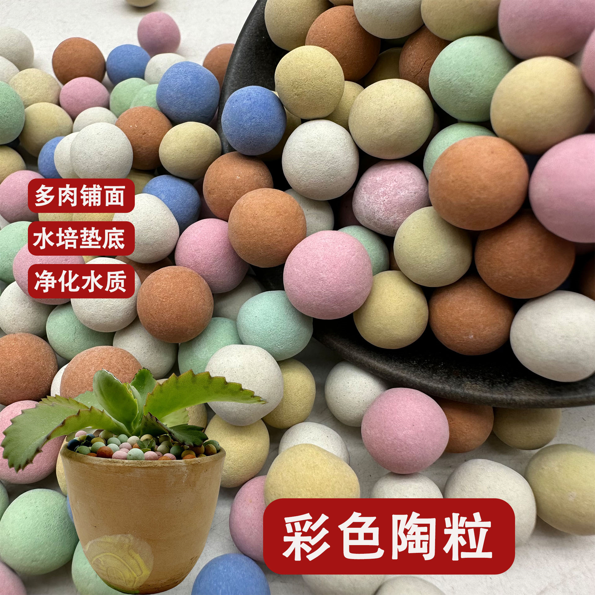 厂家批发彩色陶粒植物无水栽培基质陶粒多肉铺面净化水质陶瓷颗粒